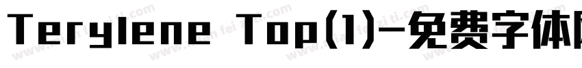 Terylene Top(1)字体转换